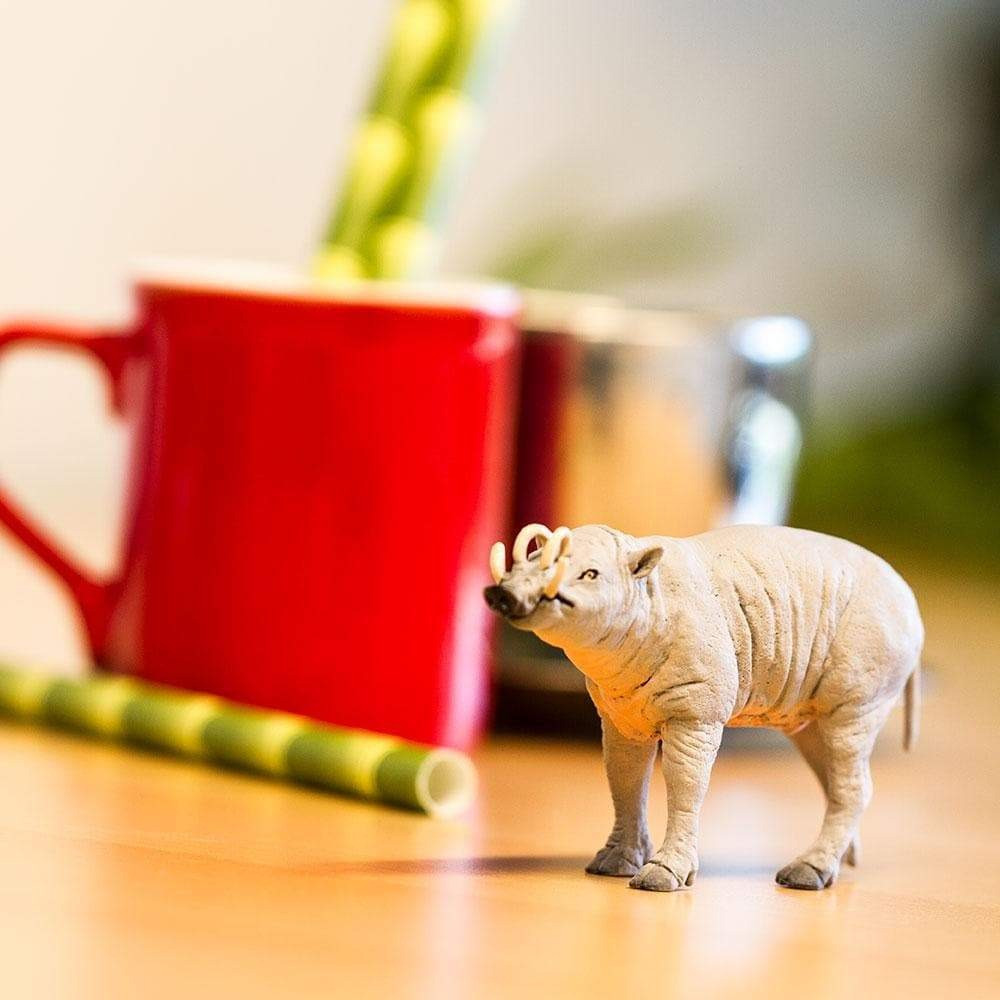 Babirusa Cerdo Safari Figura Muñeco Real Mamífero Niños Tx