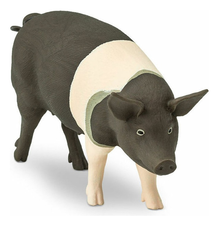 Cerdo Negro Hampshire Safari Figura Muñeco Realista Trex