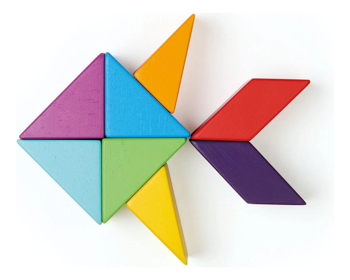 Bloques Magneticos Tender Leaf Creatividad Juguete Madera Tx