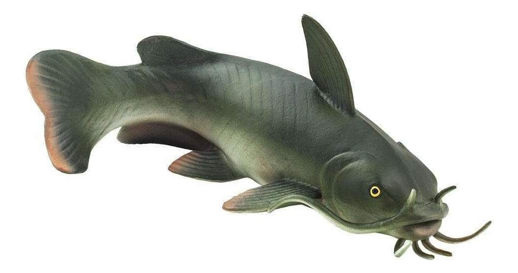 Pez Gato Catfish Figura Safari Juguete Muñeco Realista Niño