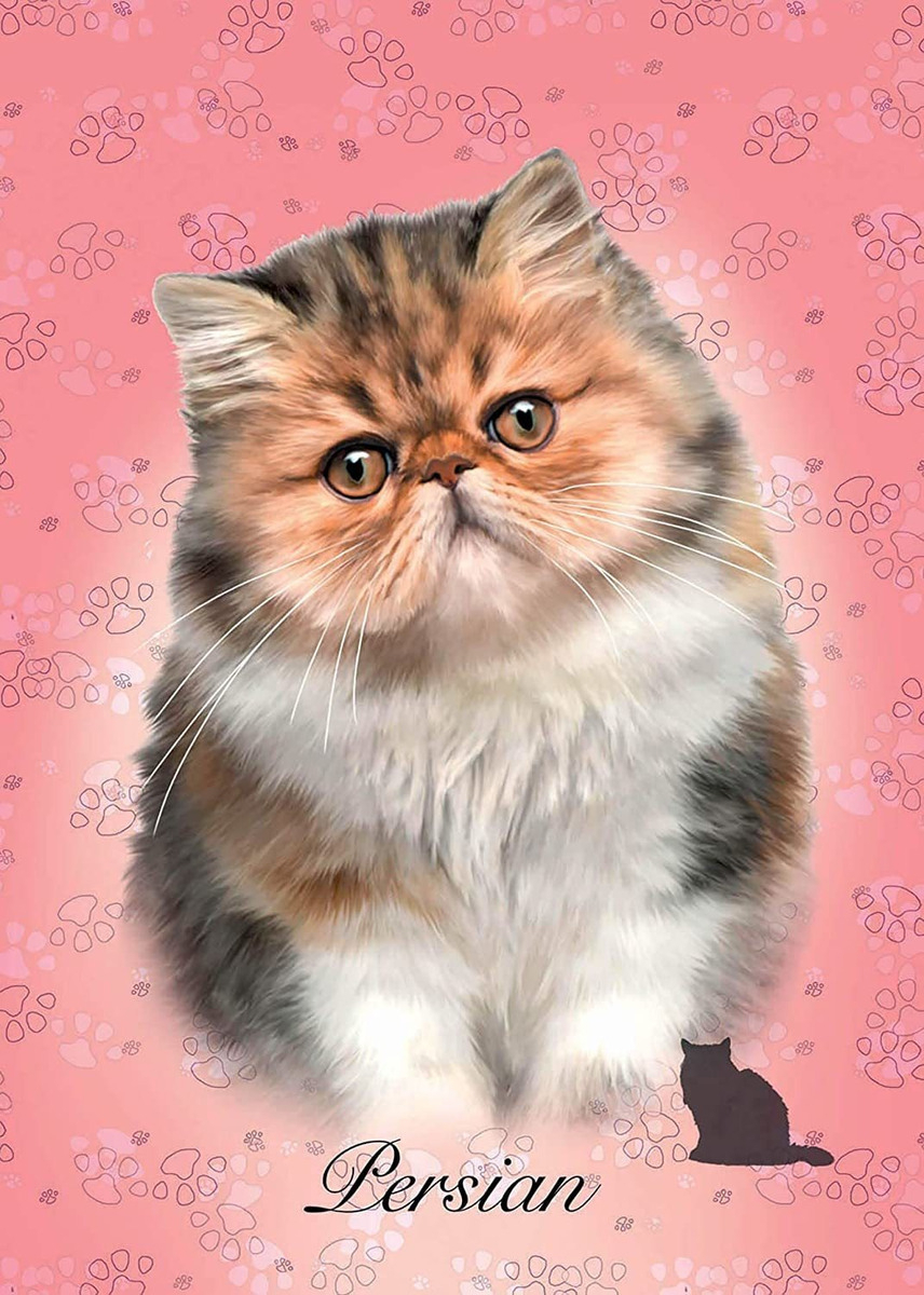 Puzzle 100 Piezas Gato Persian Rompecabezas Gatito Educa Tx