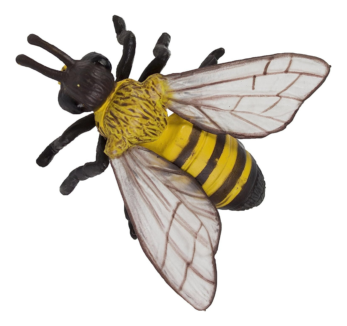 Ciclo De Vida Abeja Juguete Safari Didactico Infantil Niño