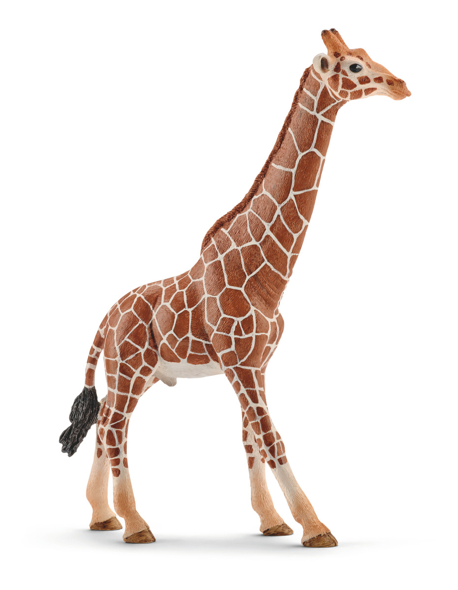 Figura Jirafa Macho Coleccionable Animal Selva Schleich Trex