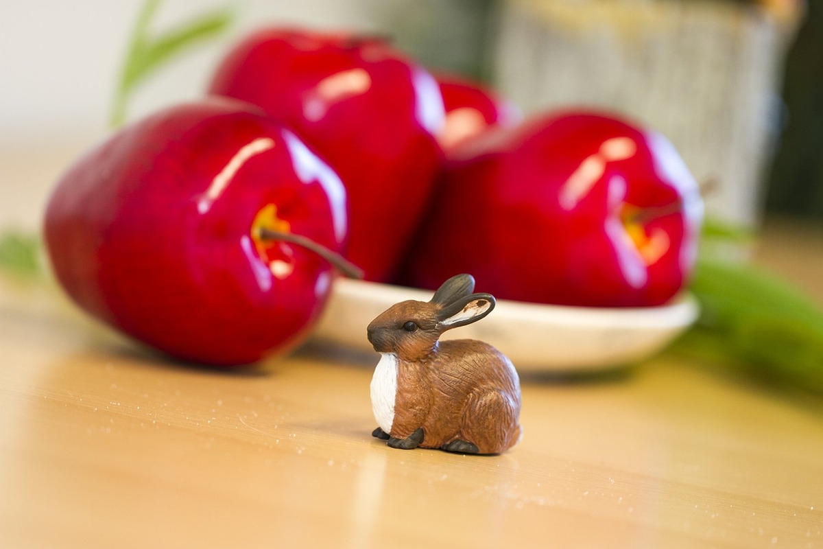 Figura Safari Conejo Muñeco Juguete Infantil Realista Niño