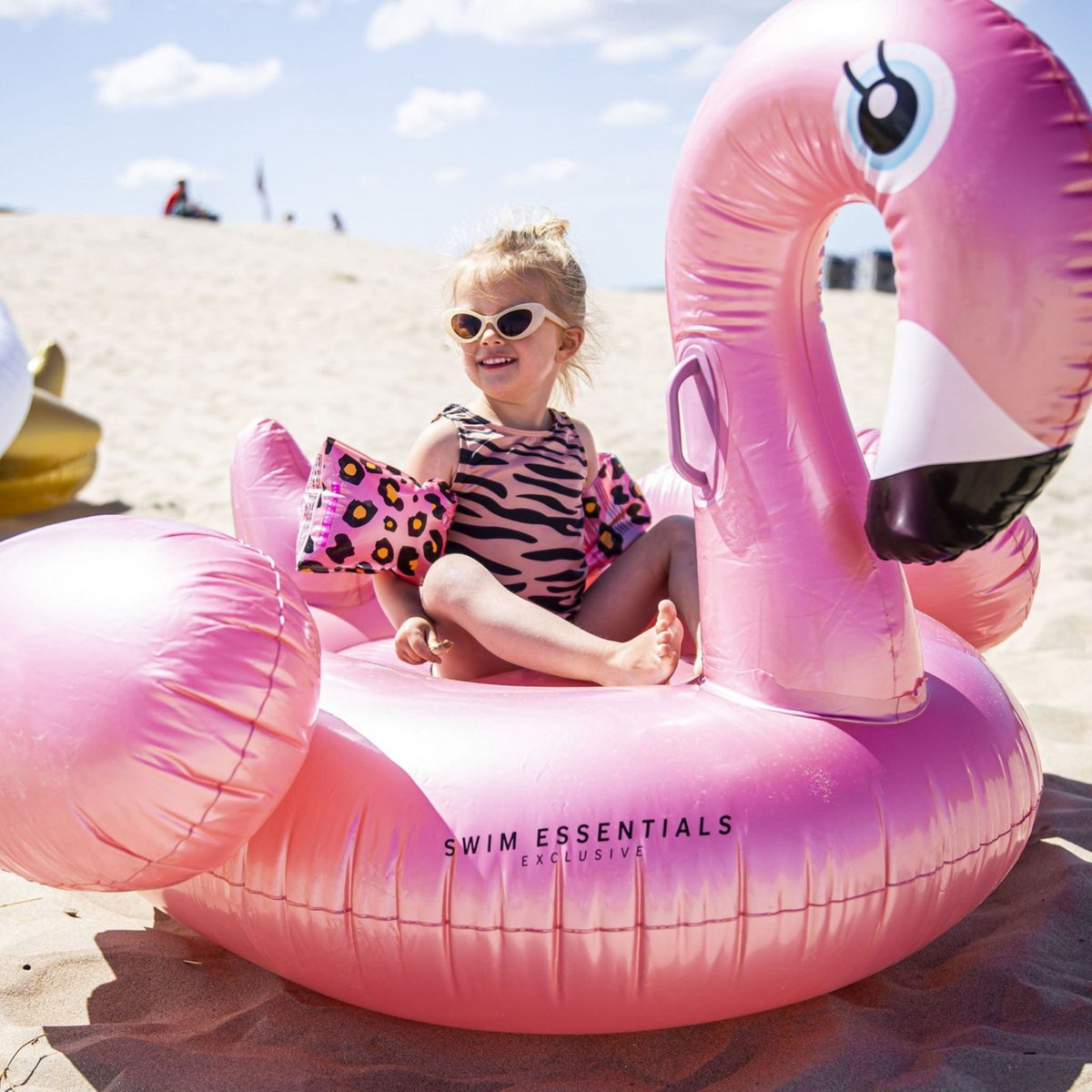 Flotador Inflable Piscina Pileta Flamenco Essentials Trex