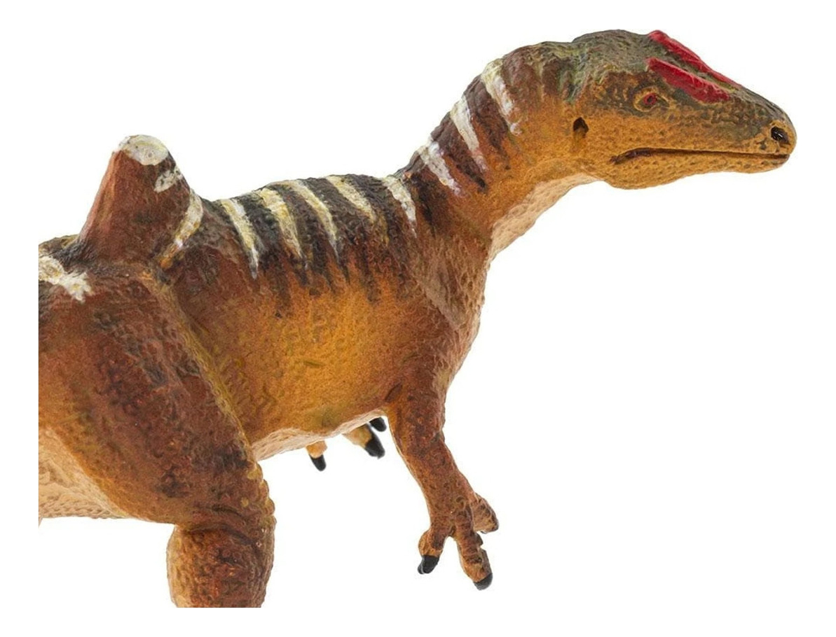 Dinosaurio Concavenator Safari Colección Niño Realista Trex