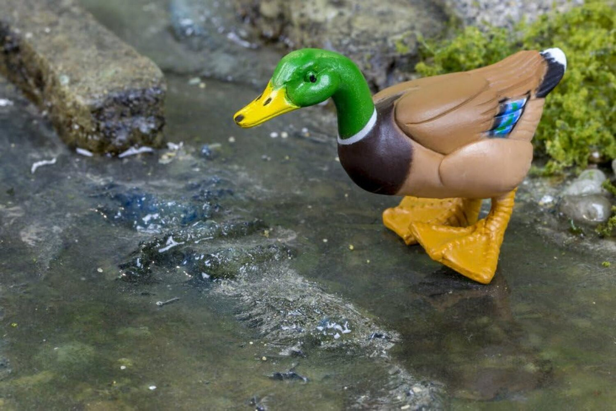 Figura Realista Pato Mallard Verde Granja Safari Trex