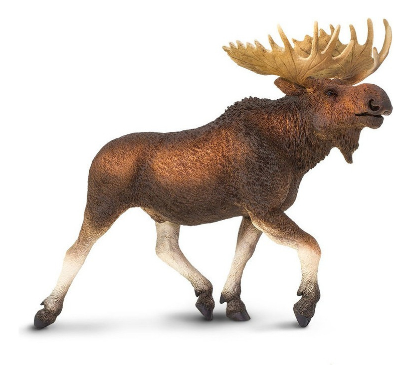 Alce Moose Safari Figura Colección Muñeco Realista Trex