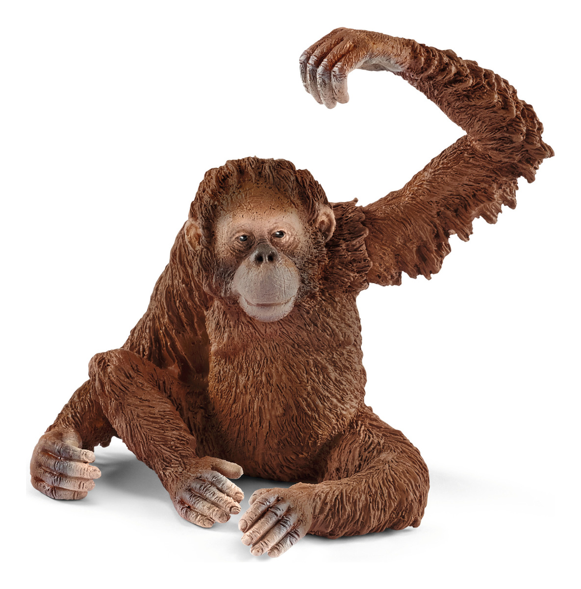 Figura Orangután Hembra Club Wild Life Schleich Trex