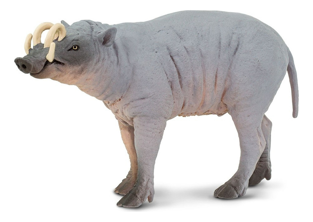 Babirusa Cerdo Safari Figura Muñeco Real Mamífero Niños Tx