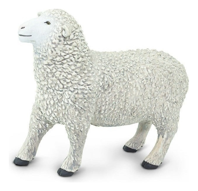 Safari Oveja Animal Figura Coleccion Original Ovejita Trex