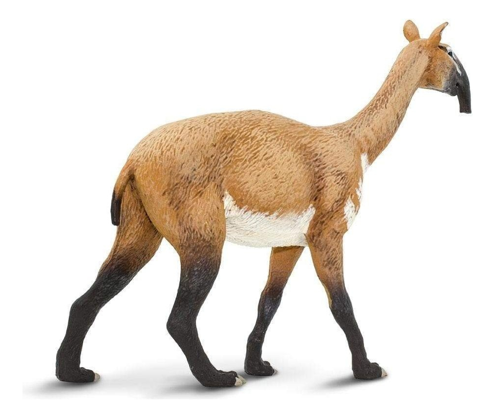 Oso Hormiguero Prehistorico Macrauchenia Safari Muñeco Trex