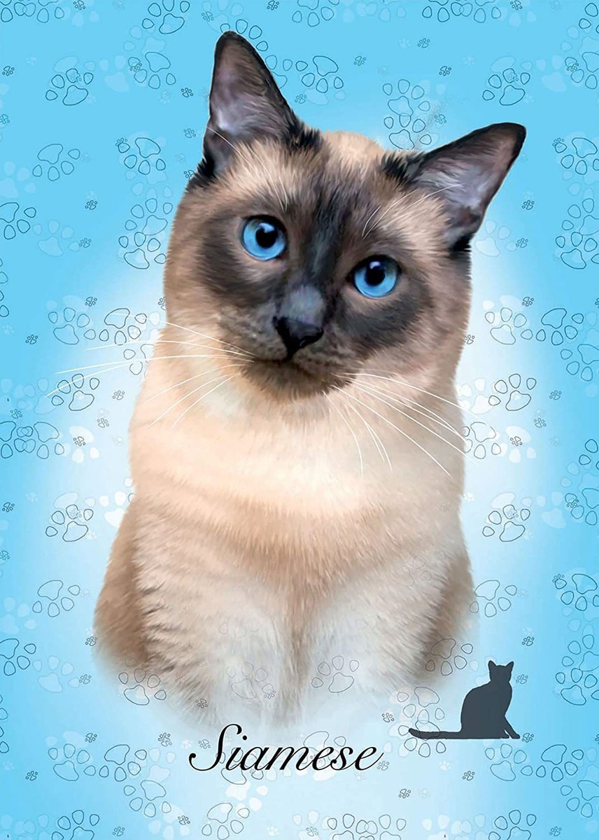 Puzzle 100 Piezas Gato Siames Rompecabezas Gatito Educa Tx