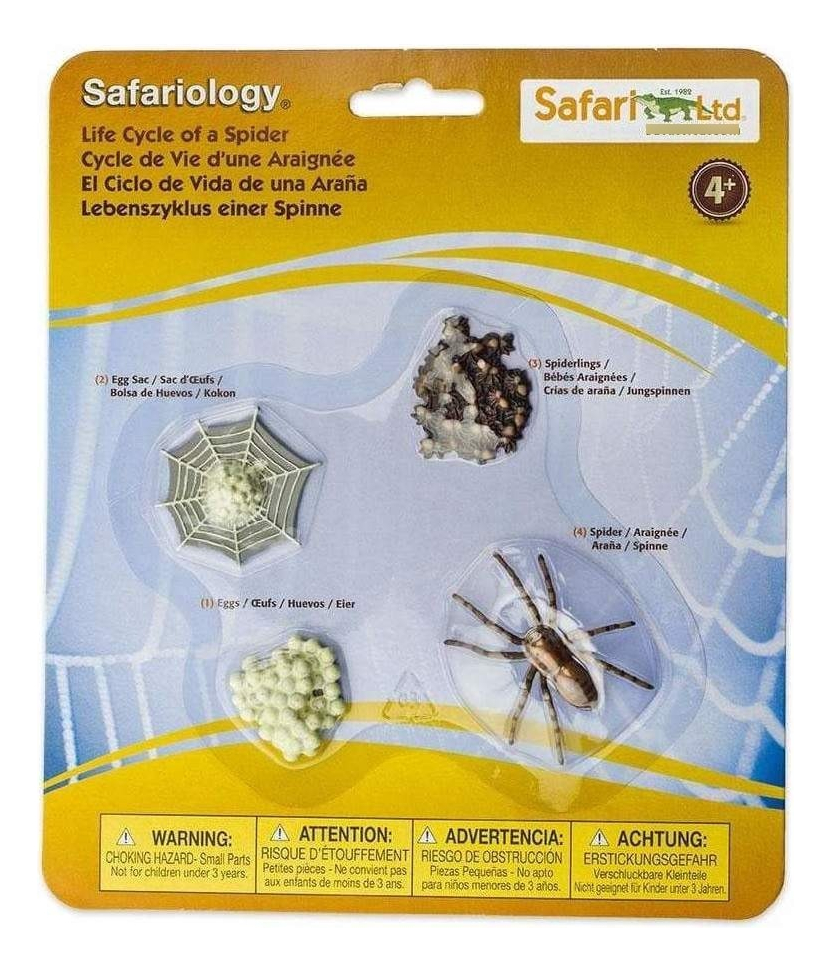 Ciclo De Vida Araña Insecto Juguete Safari Didáctico Trex