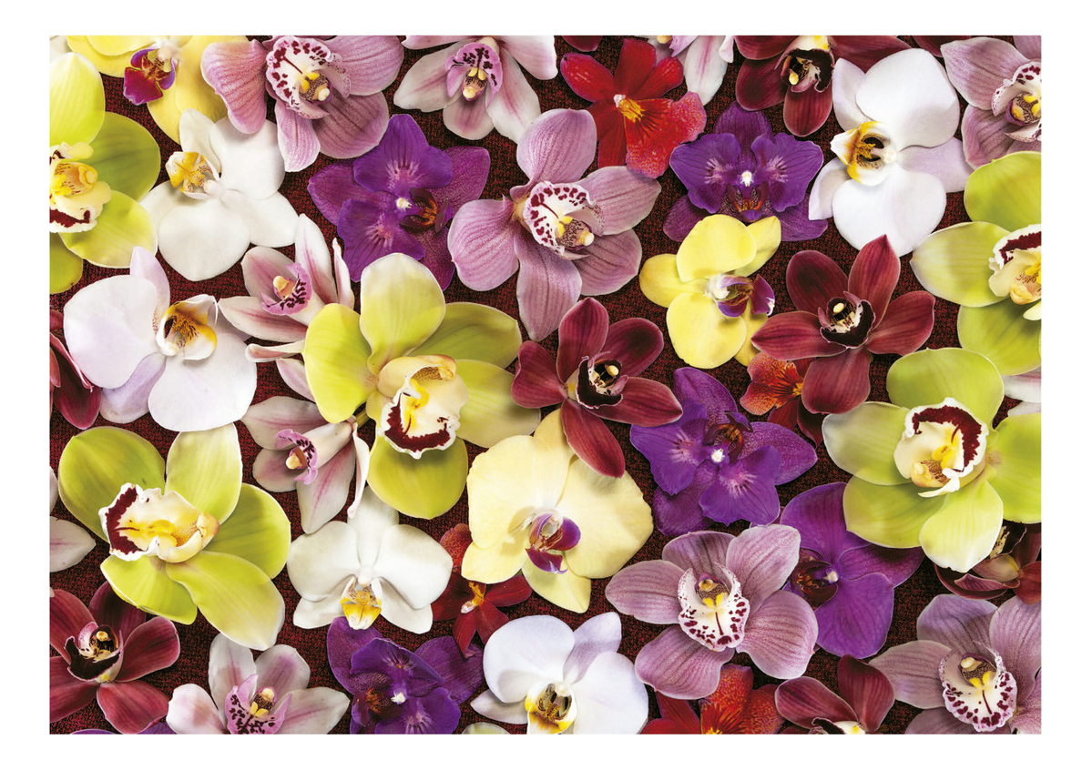 Puzzle Rompecabeza Flores Collage Orquideas 1000pcs Educa Tx