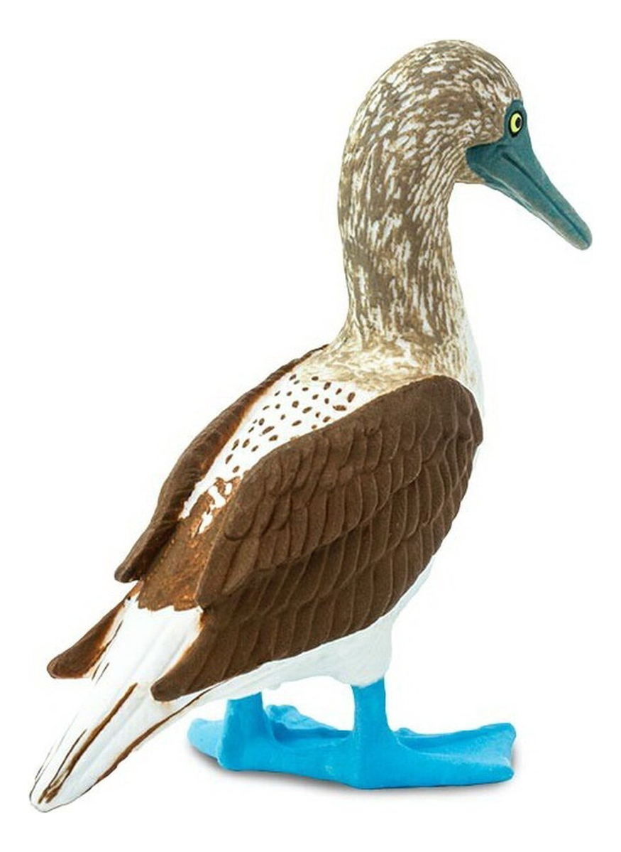 Figura Muñeco Safari Piquero Patiazul Ave Juguete Infantil
