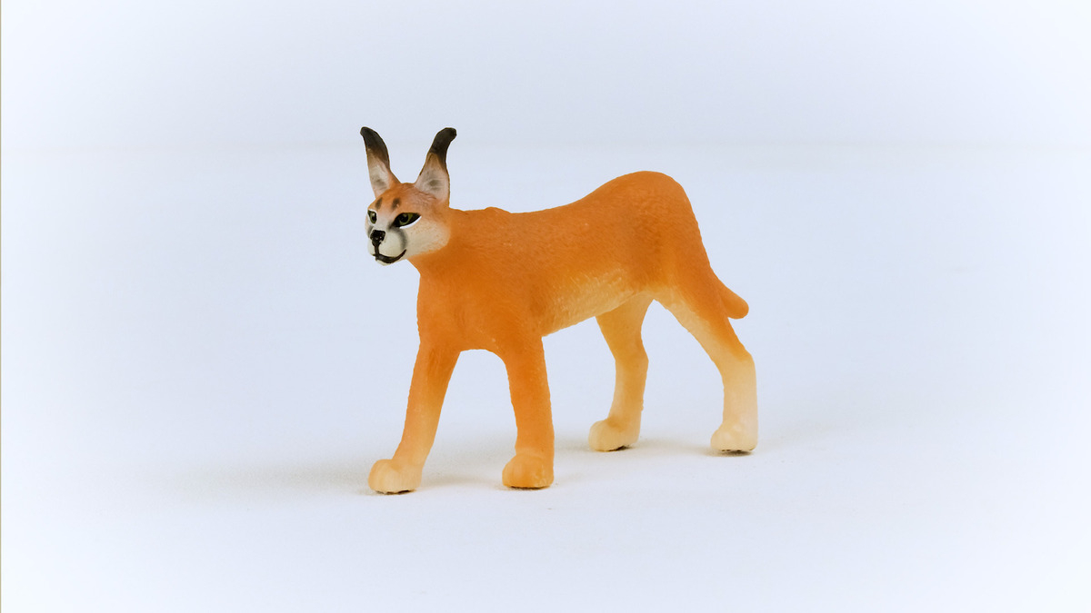 Figura Caracal Hembra Schleich Wild Life Orejas Realistas Tx