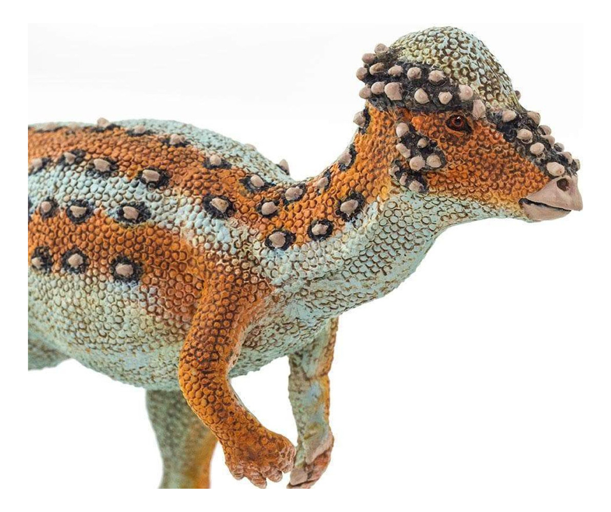 Juguete Safari Figura Dinosaurio Pachycephalosaurus Niño Tx