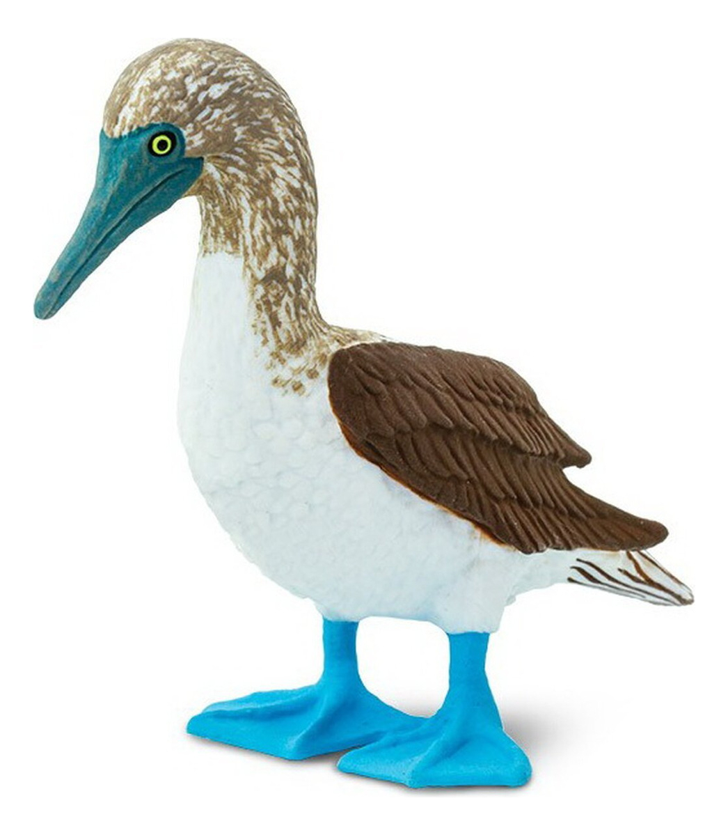 Figura Muñeco Safari Piquero Patiazul Ave Juguete Infantil
