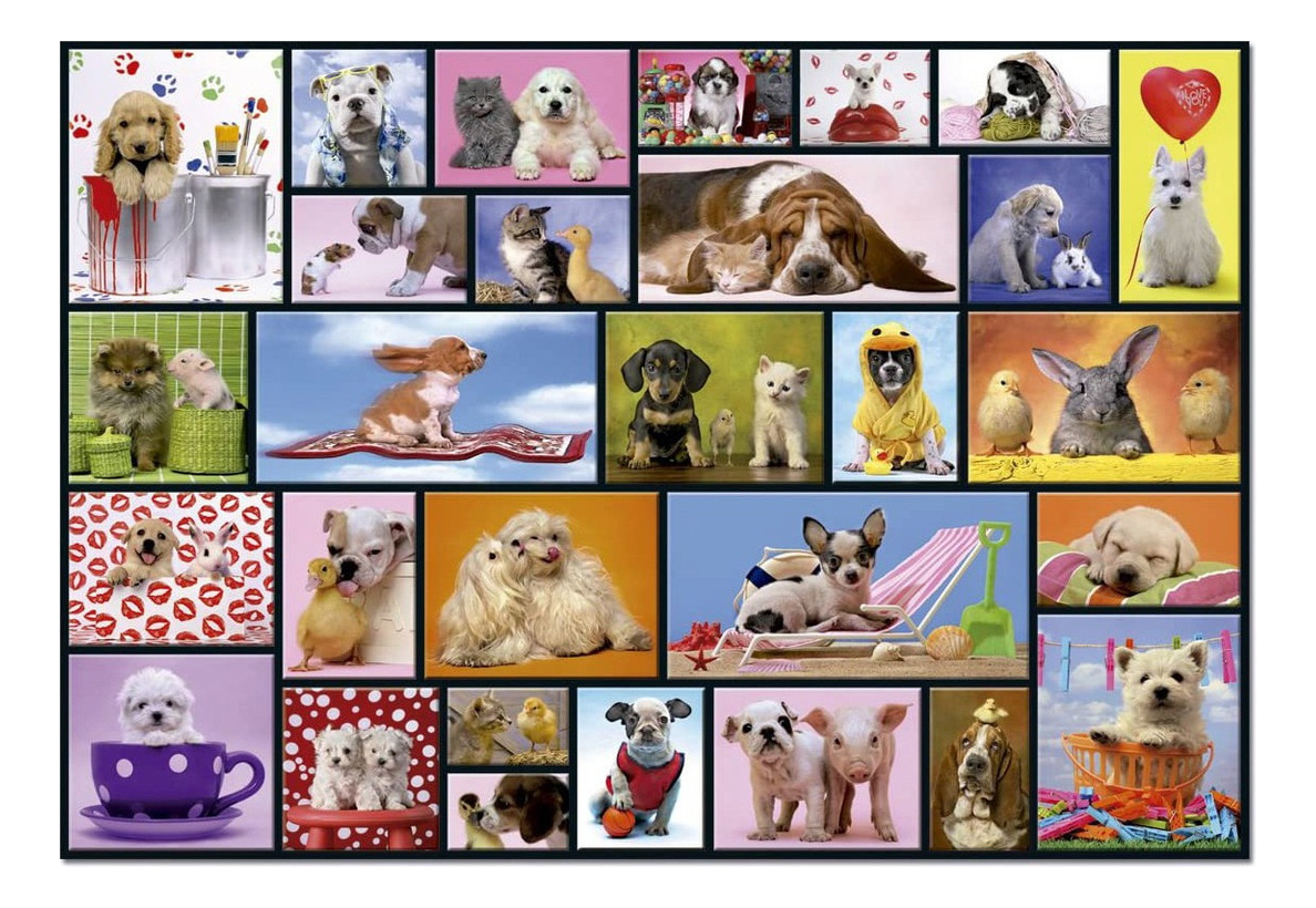 Puzzle Educa Rompecabeza Momentos Animales 1000 Piezas Trex