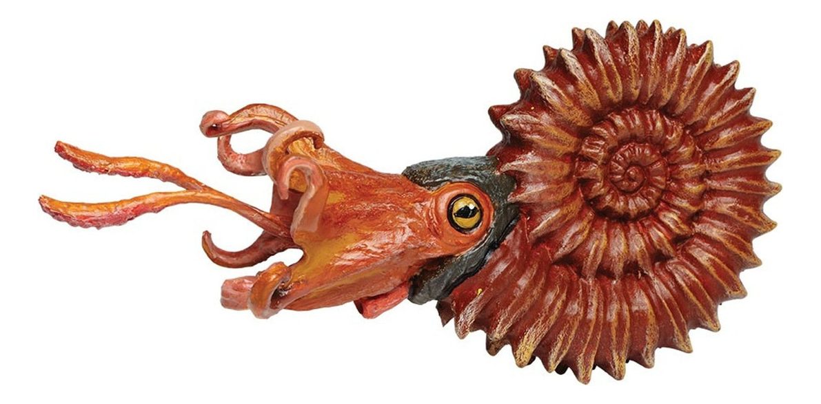 Caracol Ammonite Safari Muñeco Marino Coleccion Realista Tx