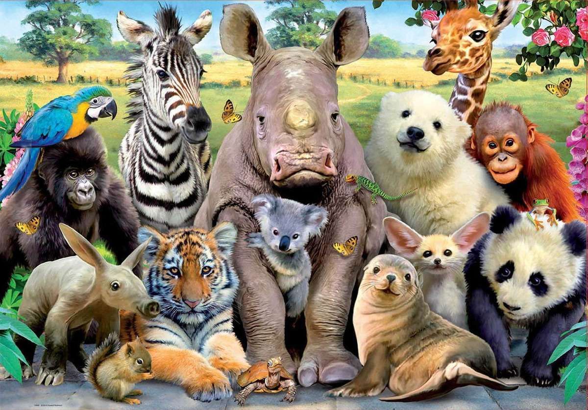Puzzle 300 Piezas Animales Rompecabezas Foto De Clase Educa