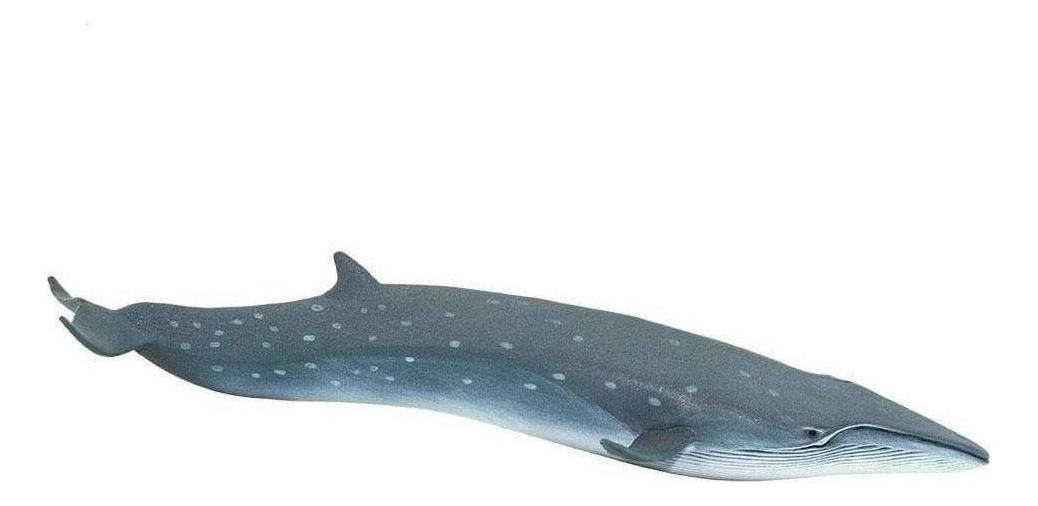 Juguete Safari Para Niño Animal Ballena Sei Figura Grande