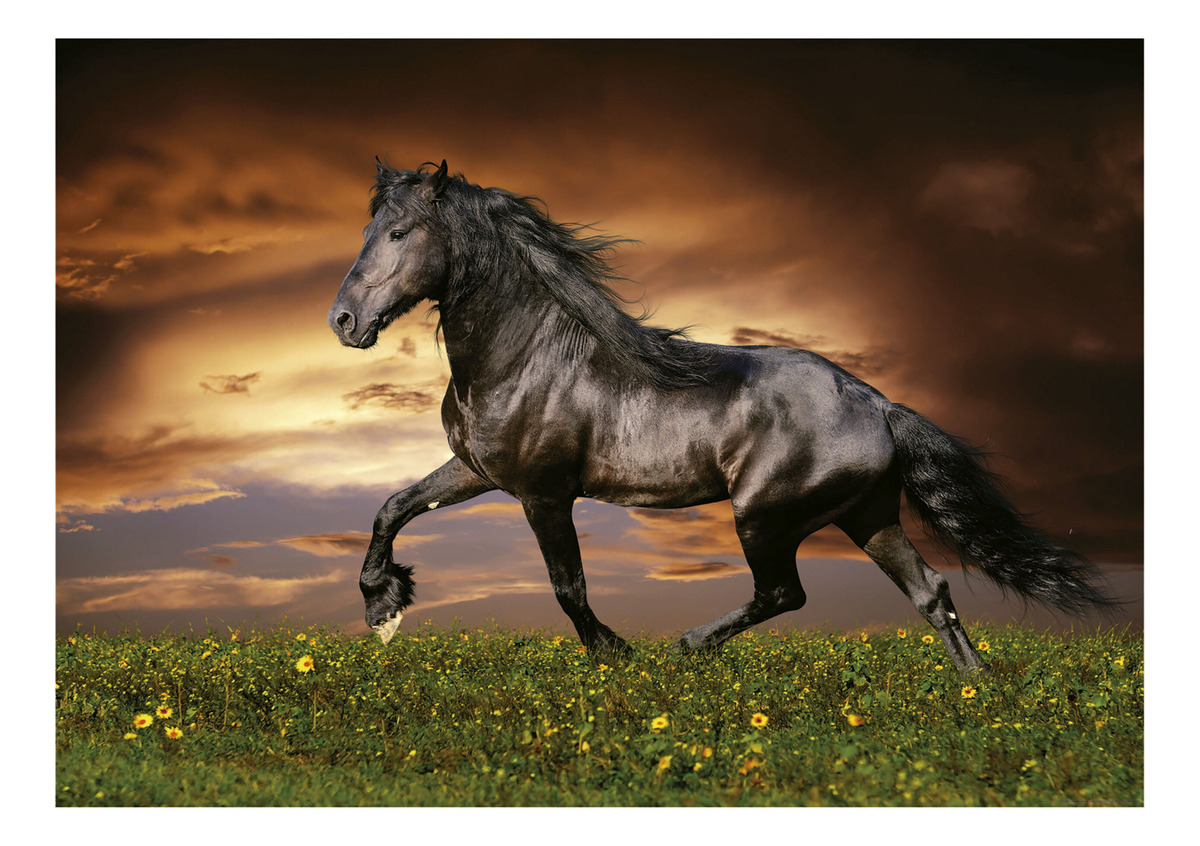 Puzzle Rompecabezas Caballo Al Trote 1000 Pcs Educa Trex