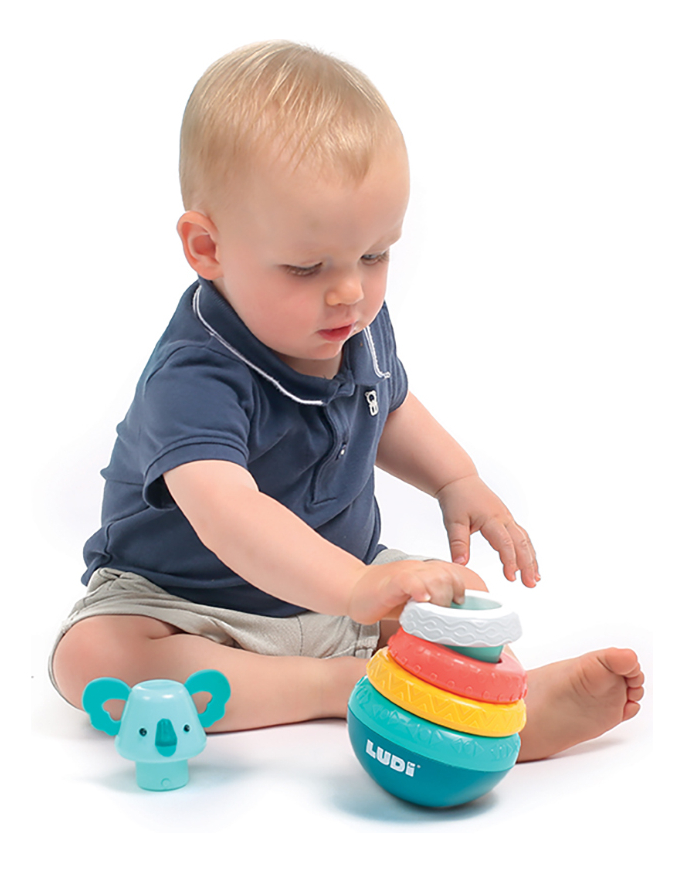 Piramide Culbuto Koala Bebe Eduativo Sensorial Ludi Trex