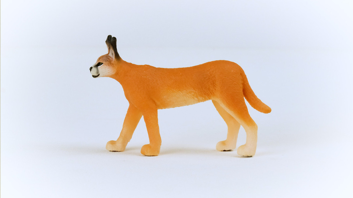 Figura Caracal Hembra Schleich Wild Life Orejas Realistas Tx