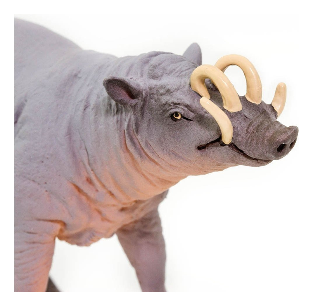 Babirusa Cerdo Safari Figura Muñeco Real Mamífero Niños Tx