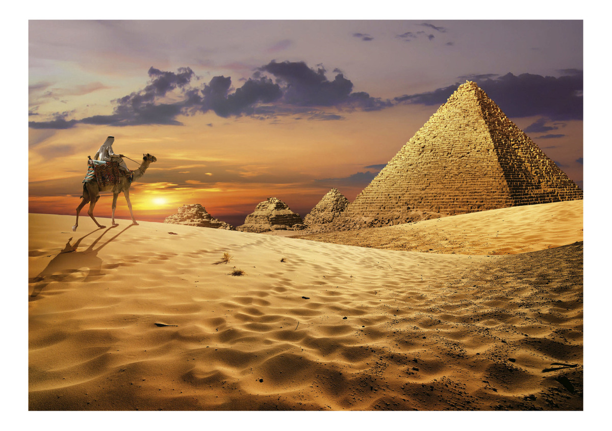 Puzzle Rompecabezas Camello En Desierto 1000 Pcs Educa Trex
