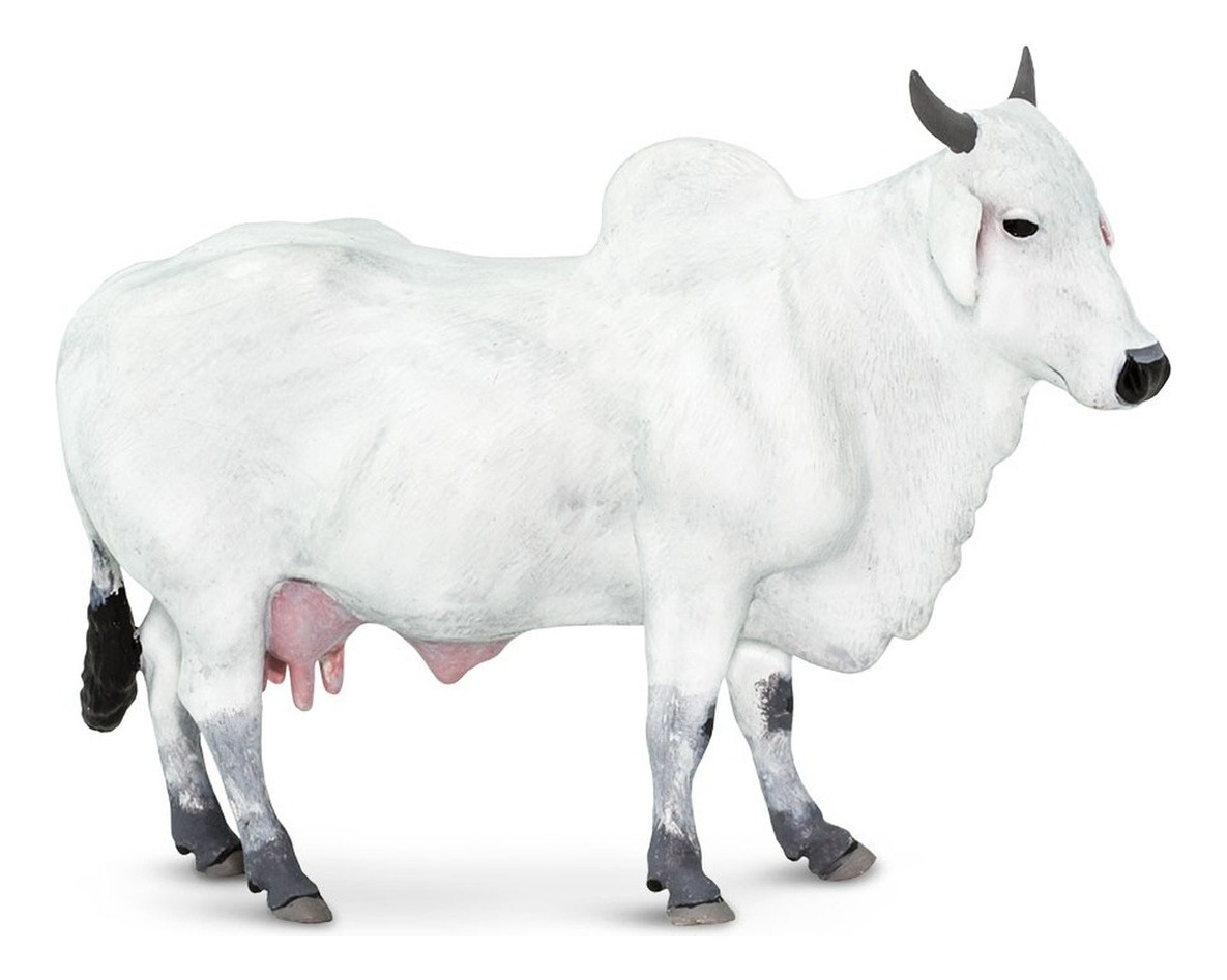 Nelore Vaca Ongole Safari Figura Animales Muñeco Infantil Tx