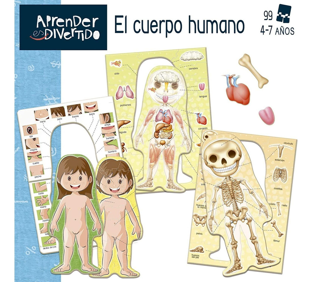 Puzzle Aprender El Cuerpo Humano Rompecabezas Educa Trex