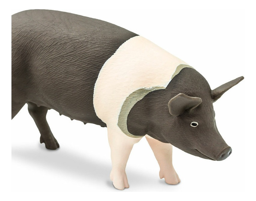 Cerdo Negro Hampshire Safari Figura Muñeco Realista Trex