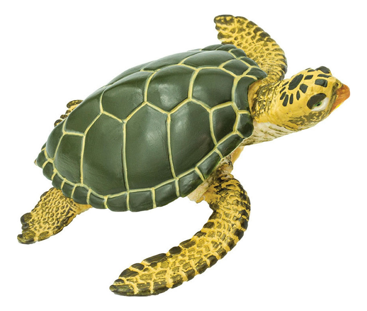 Figura Safari Tortuga Marina Muñeco Juguete Animal Oceano Tx