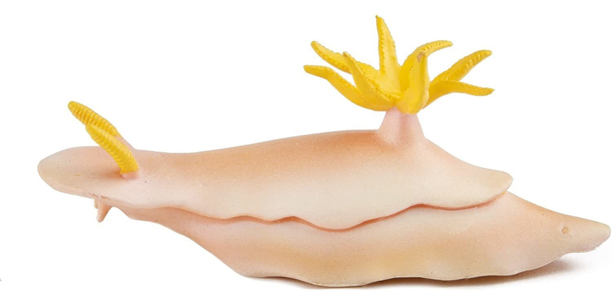 Molusco Marino Nudibranquio Safari Muñeco Coleccionable Tx