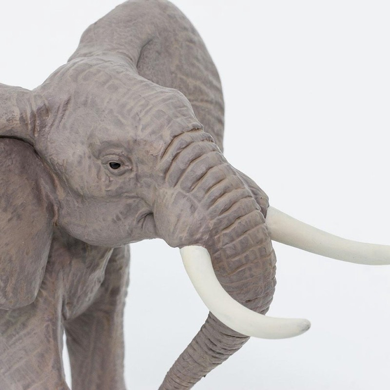 Elefante Africano Safari Animal Figura Muñeco Infantil Trex