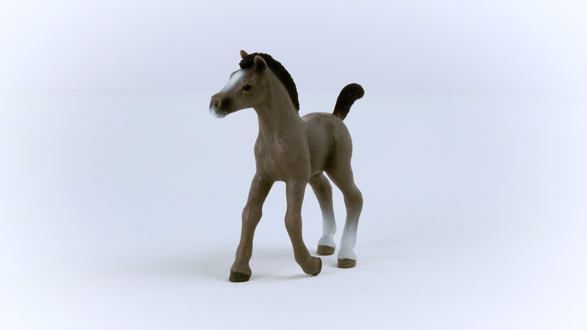 Figura Potro Selle Français Schleich Horse Club Atleta Trex