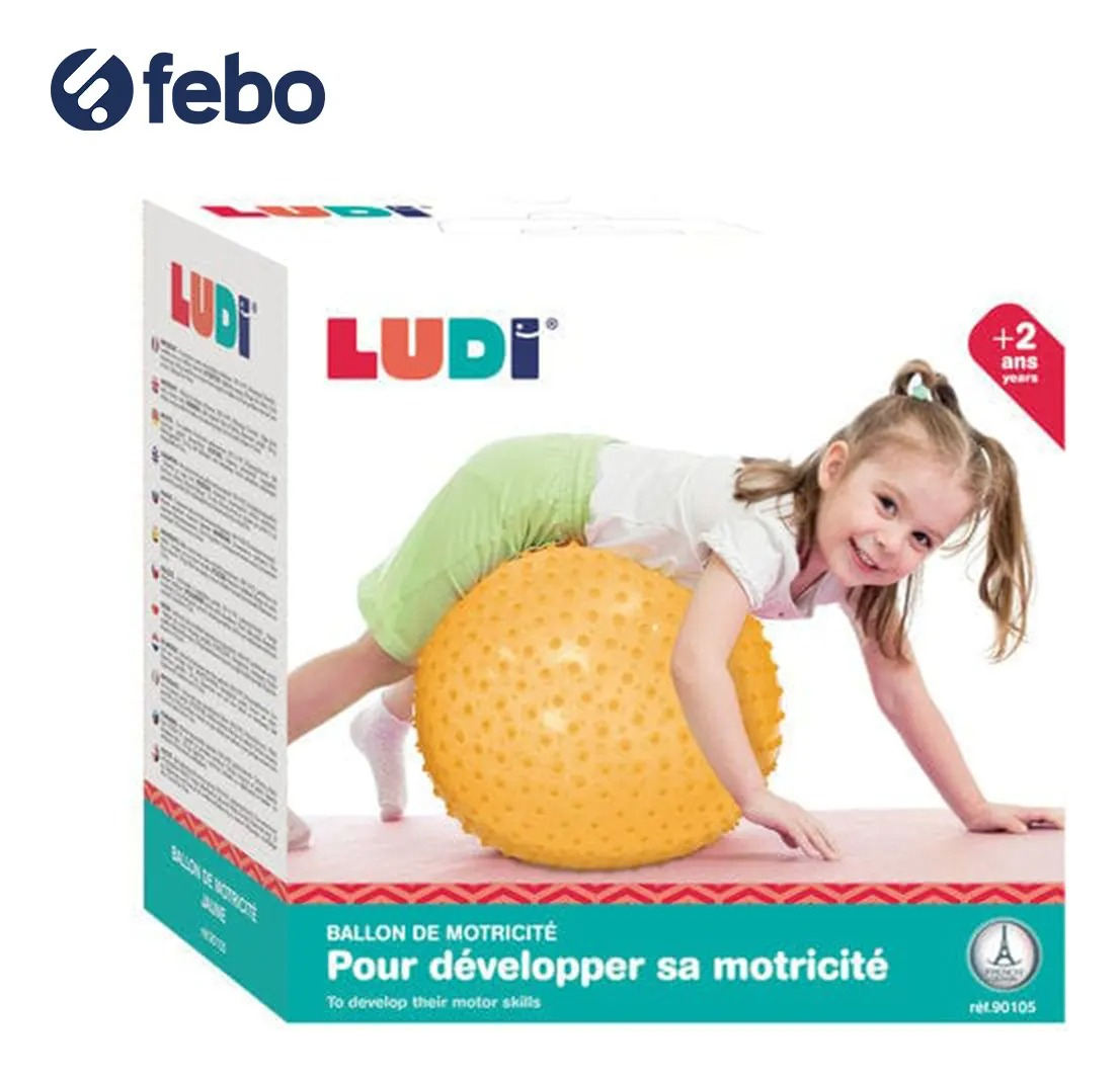 Pelota Habilidad Motora Ludi Ballon Motricite Xxl 45cm Trex