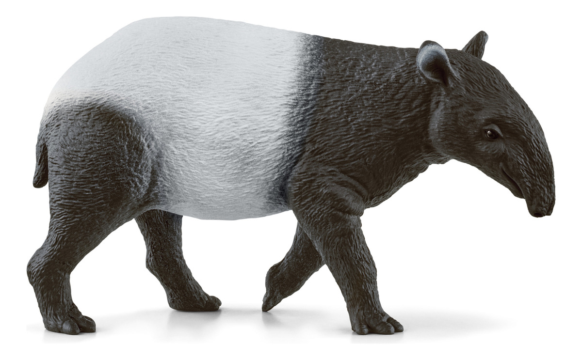Figura Tapir Realista Schleich Wild Life Salvaje Juguete Tx