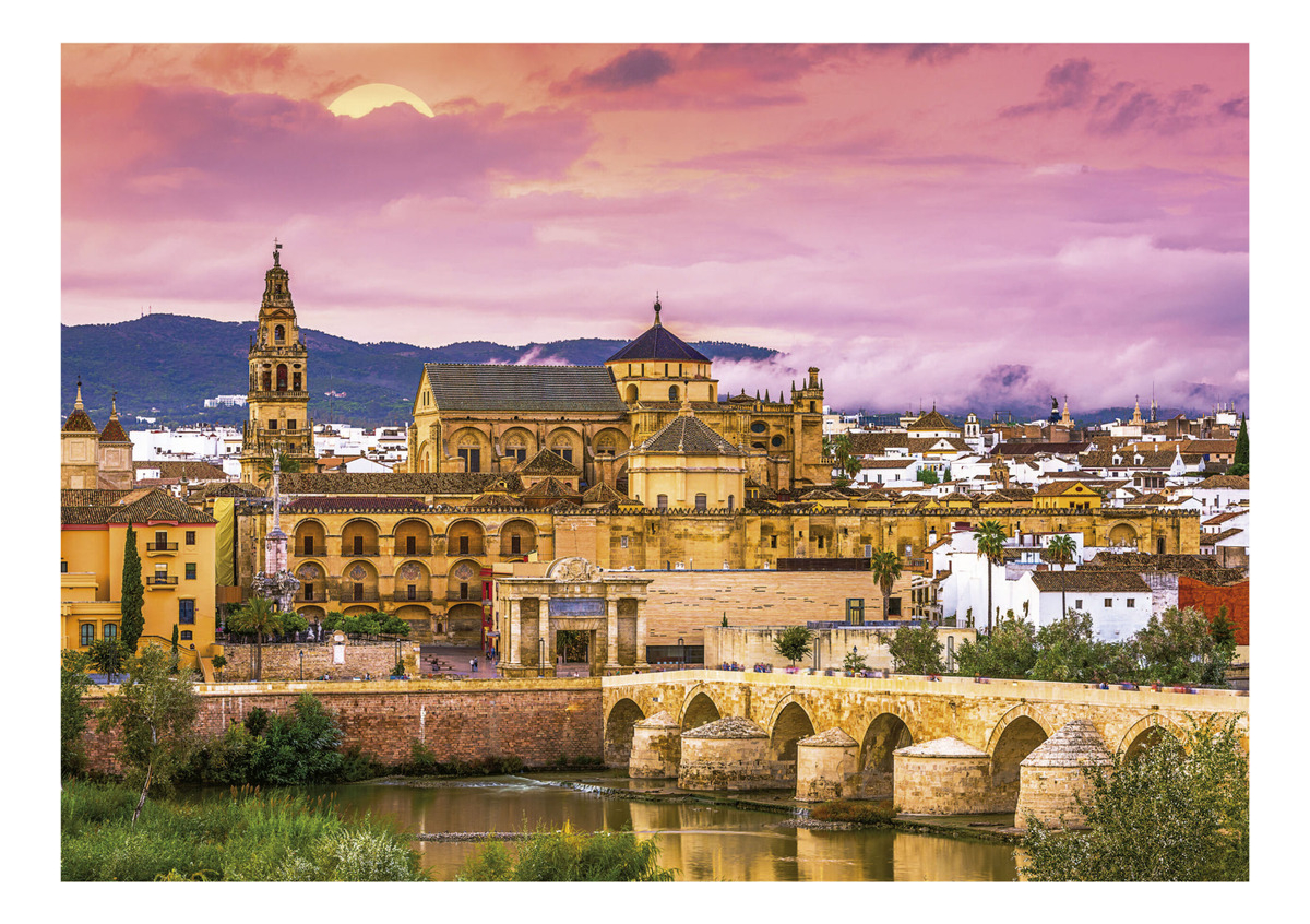 Puzzle Rompecabezas Córdoba 1000 Piezas Educa Trex