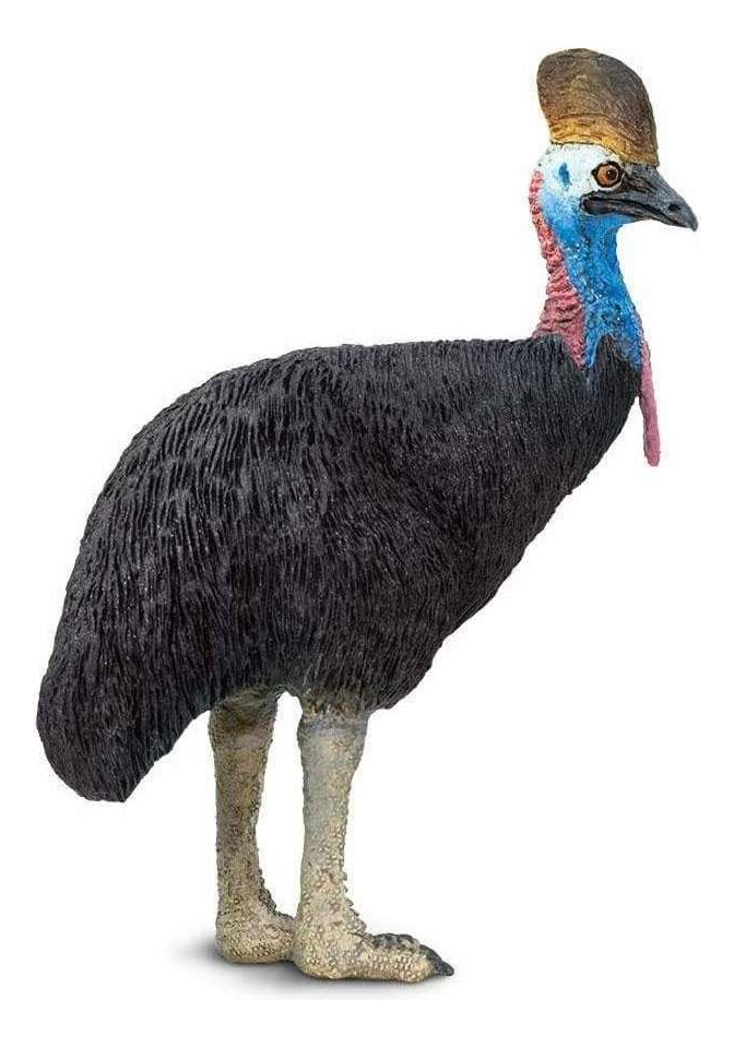 Casuario Cassowary Safari Ave Muñeco Coleccionable Trex