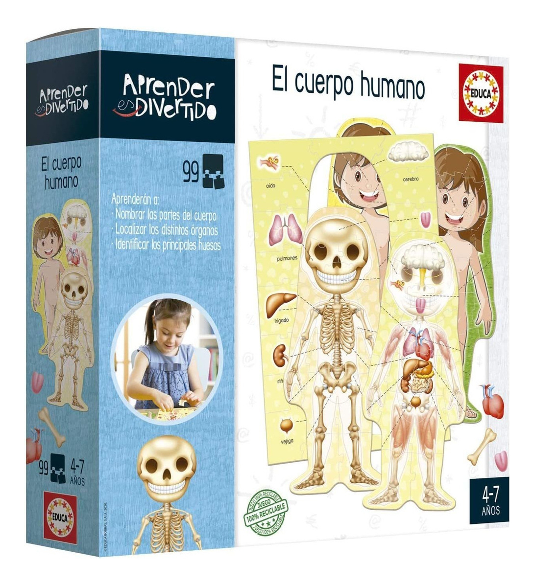 Puzzle Aprender El Cuerpo Humano Rompecabezas Educa Trex