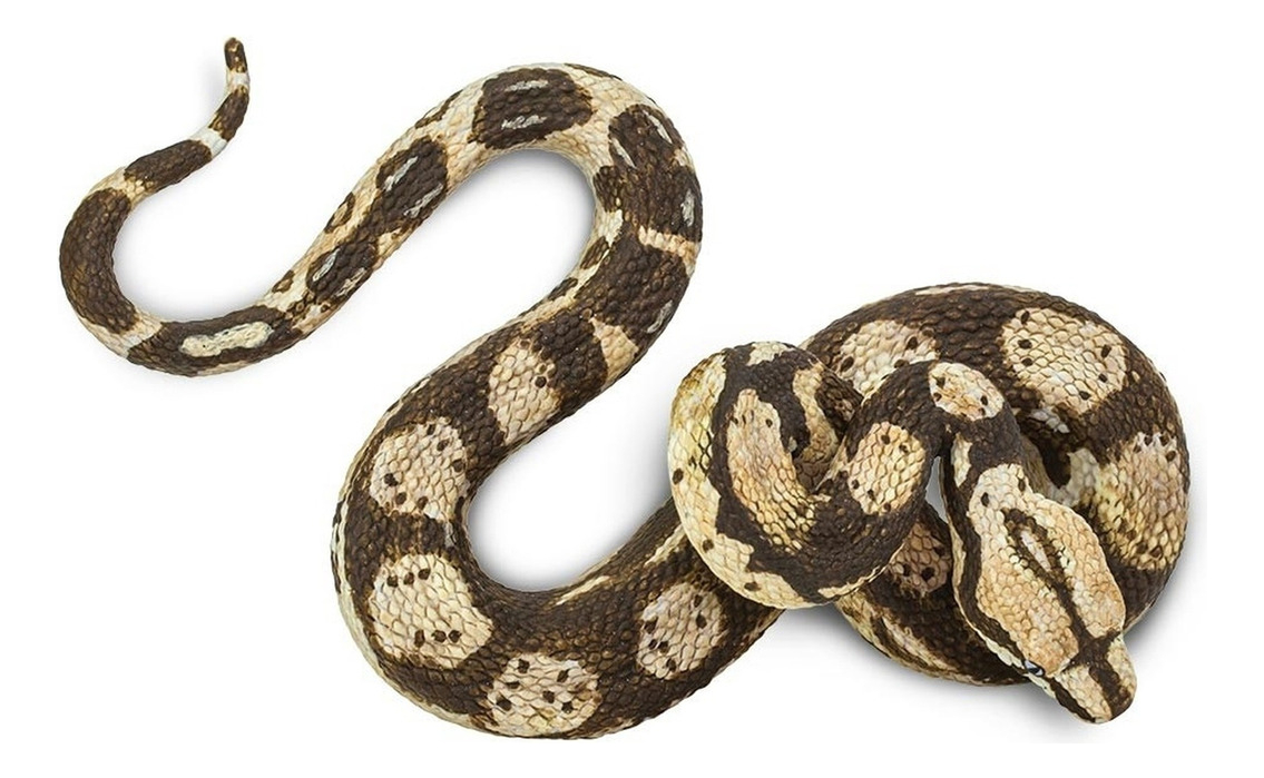 Serpiente Boa Constrictora Figura Safari Animal Realista Tx