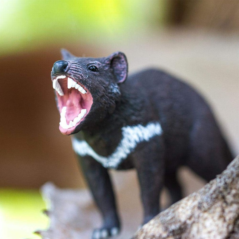 Demonio De Tasmania Safari Figura Muñeco Animal Real Niño Tx