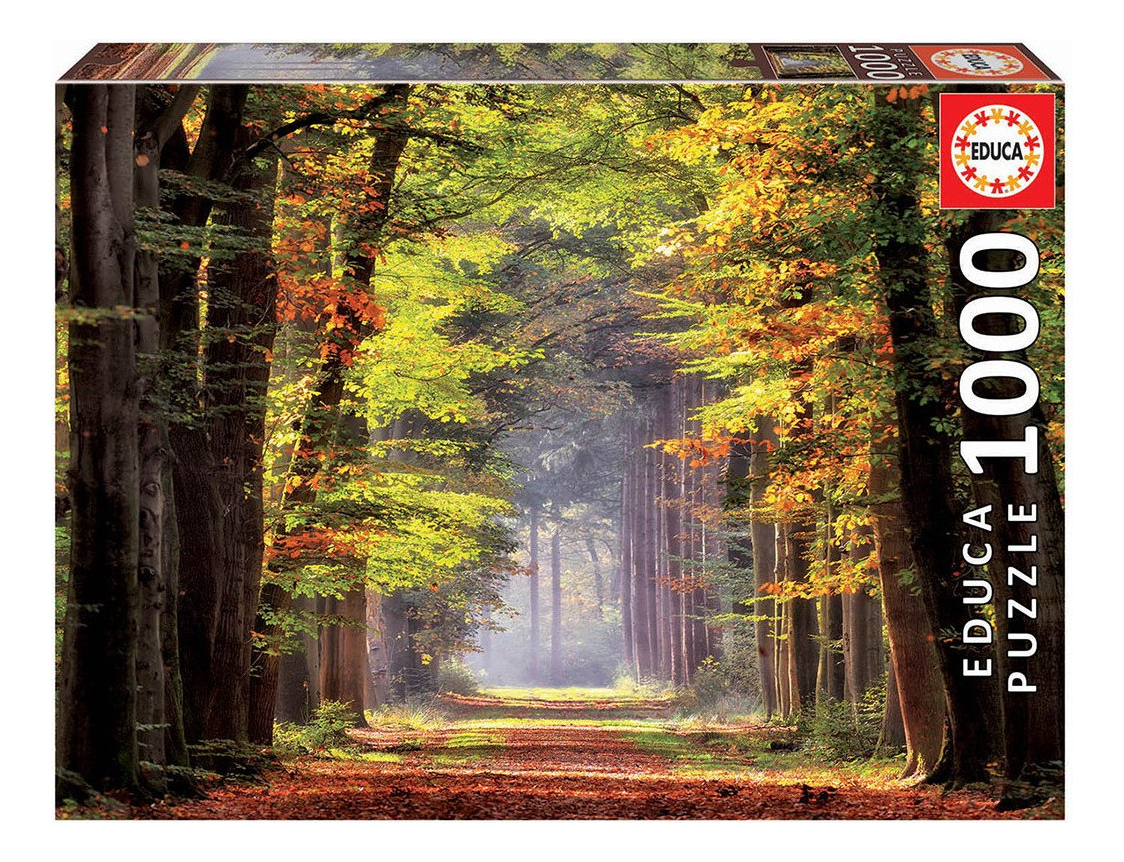 Rompecabeza Puzzle Educa Paseo Otoñal Arboles 1000 Piezas Tx