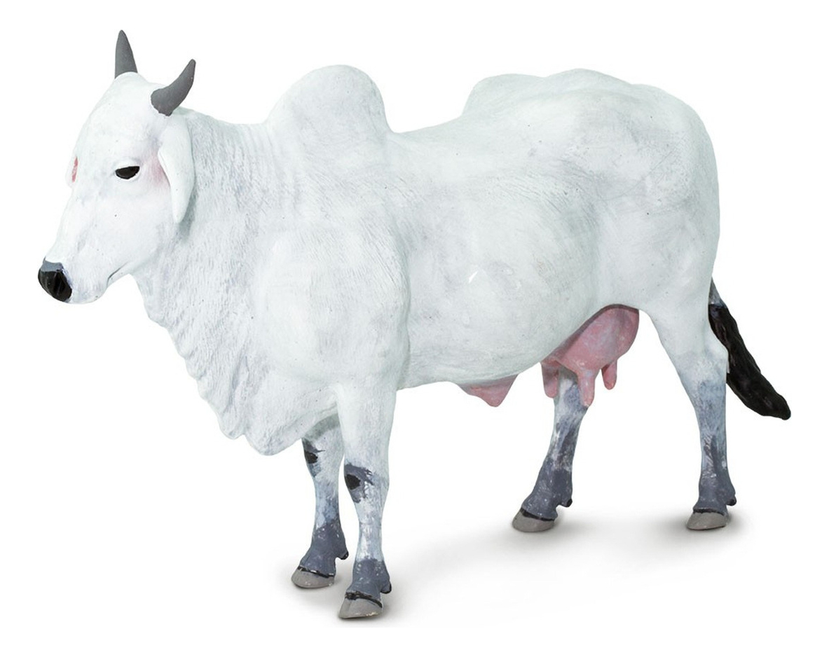 Nelore Vaca Ongole Safari Figura Animales Muñeco Infantil Tx