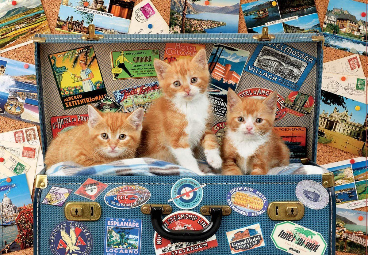 Puzzle 200 Piezas Gatitos Viajeros Rompecabezas Educa Trex