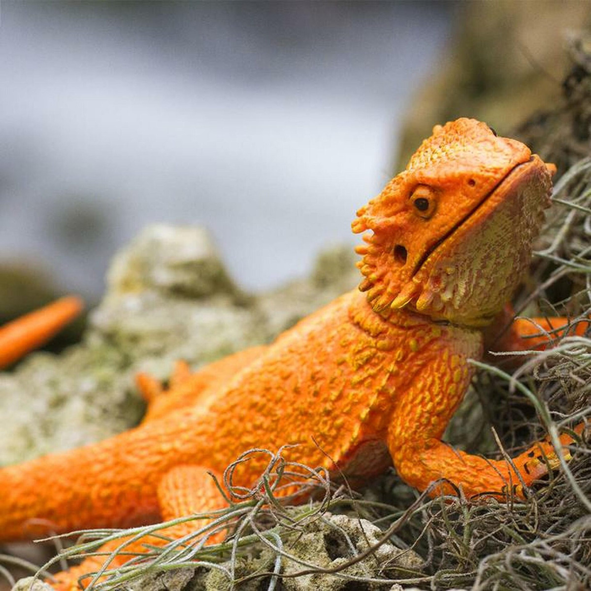 Lagarto Dragón Barbudo Safari Figura Muñeco Pogona Trex